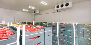 cold storage warehouse with food items